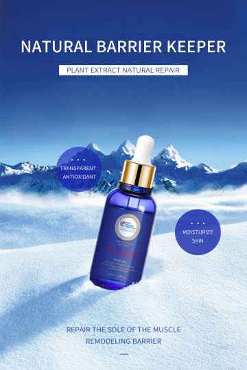 Wellness Oil - Rose and Lavender