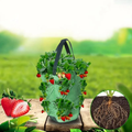 Grow Bag For Vertical Gardening