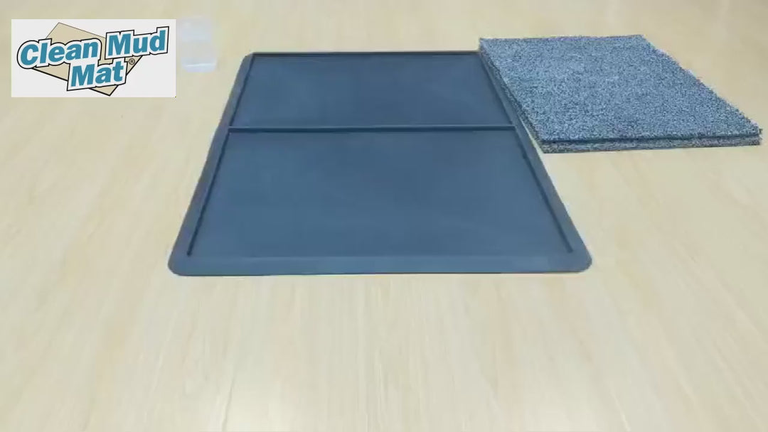 Disinfecting Floor Mat