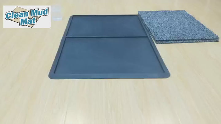 Disinfecting Floor Mat
